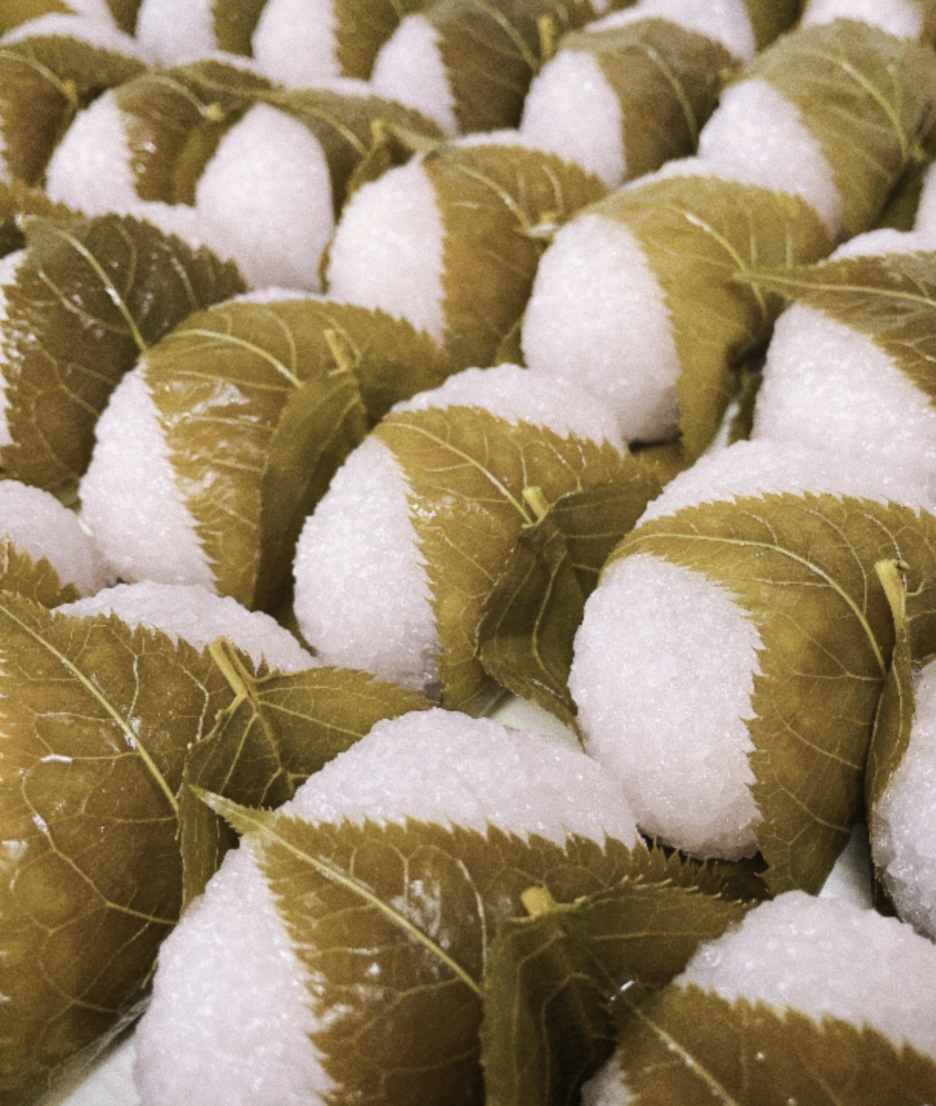 季節商品のイメージ画像